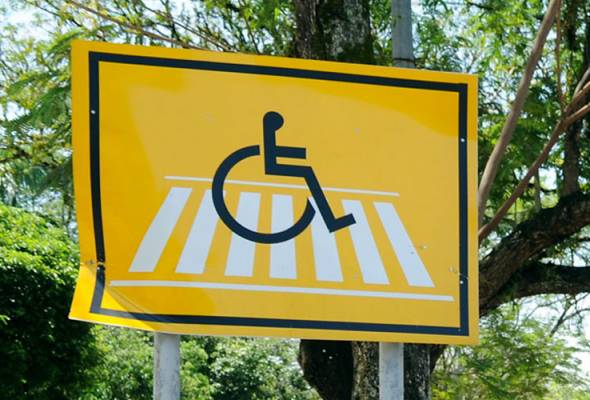Kerajaan perlu pinda perlembagaan bagi perkukuh hak orang kurang upaya