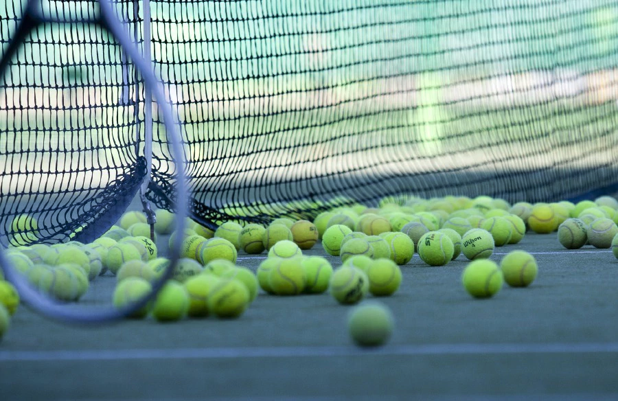 Aid for disabled women tennis duo