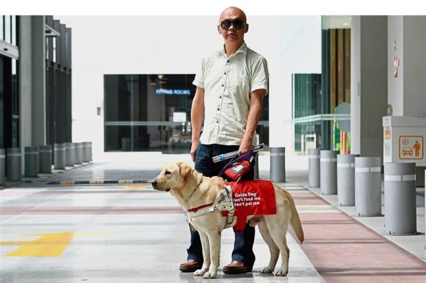 Opening the doors to guide dogs