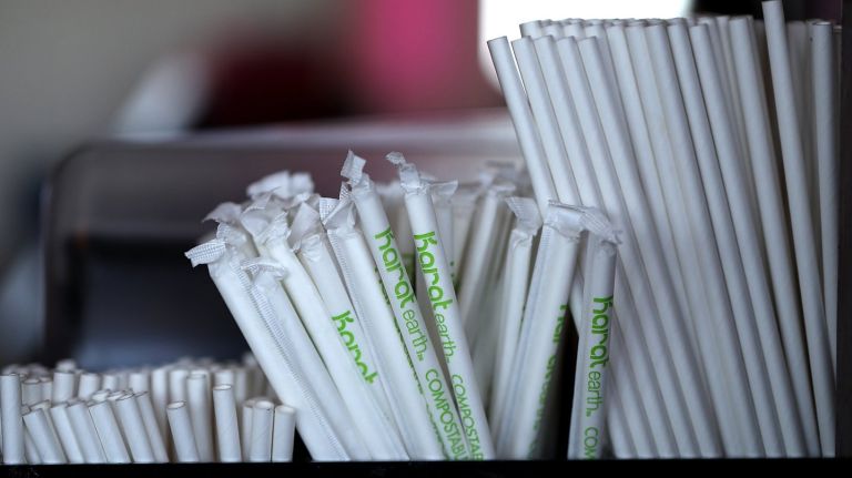Plastic straw ban proposal fails to consider disabled New Yorkers, advocates say