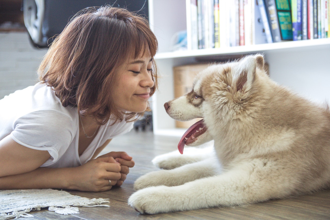 Man’s Best Friends: Service Animals and PWD