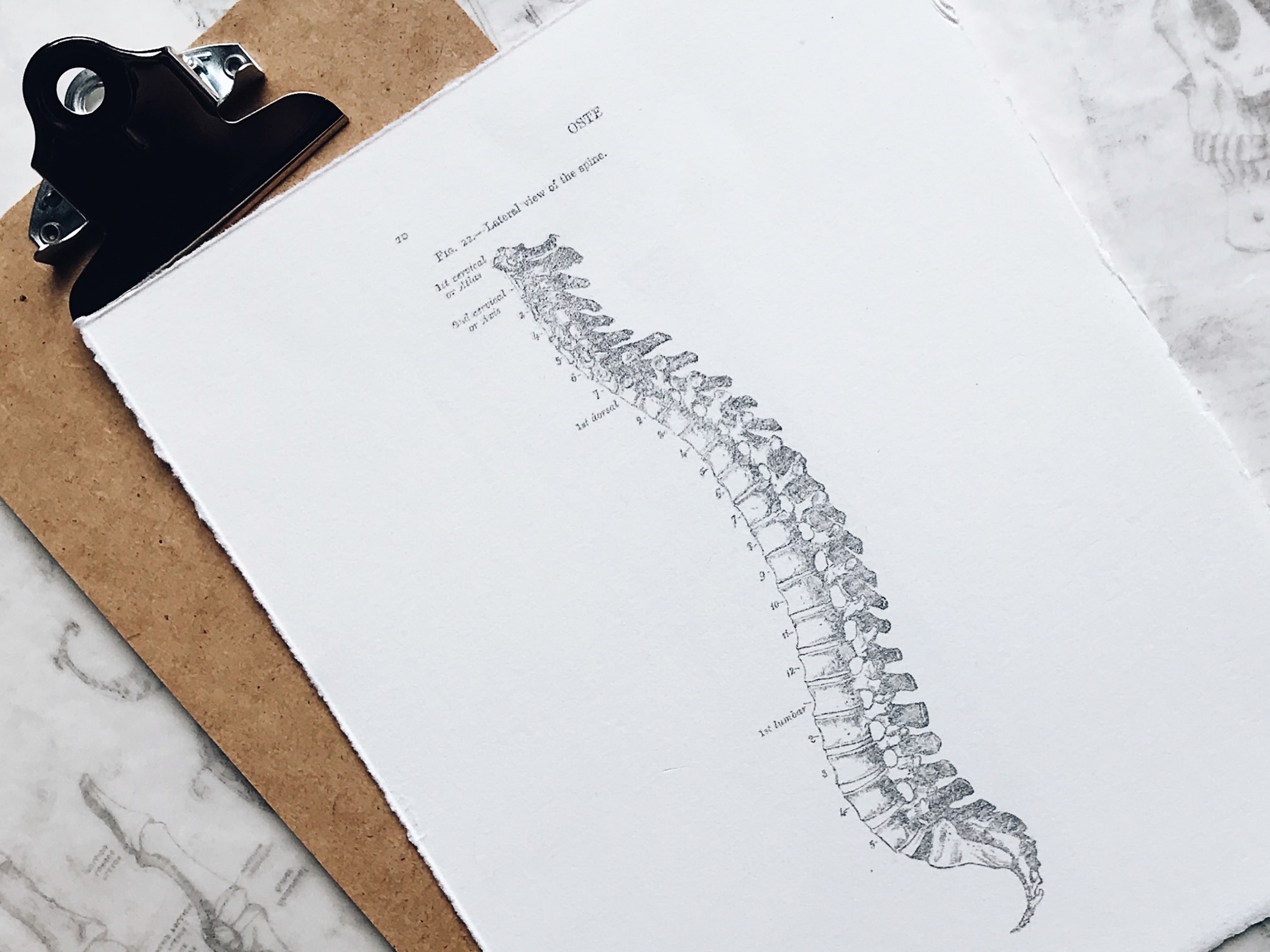Spinal Cord Injury glossary