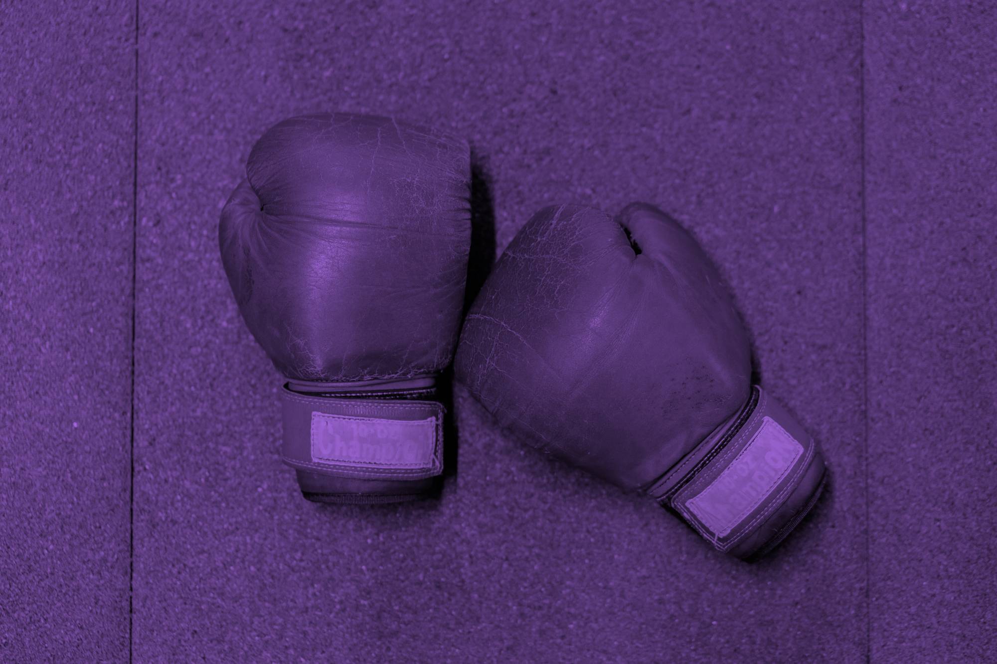 A purple-tinted photo of two boxing gloves