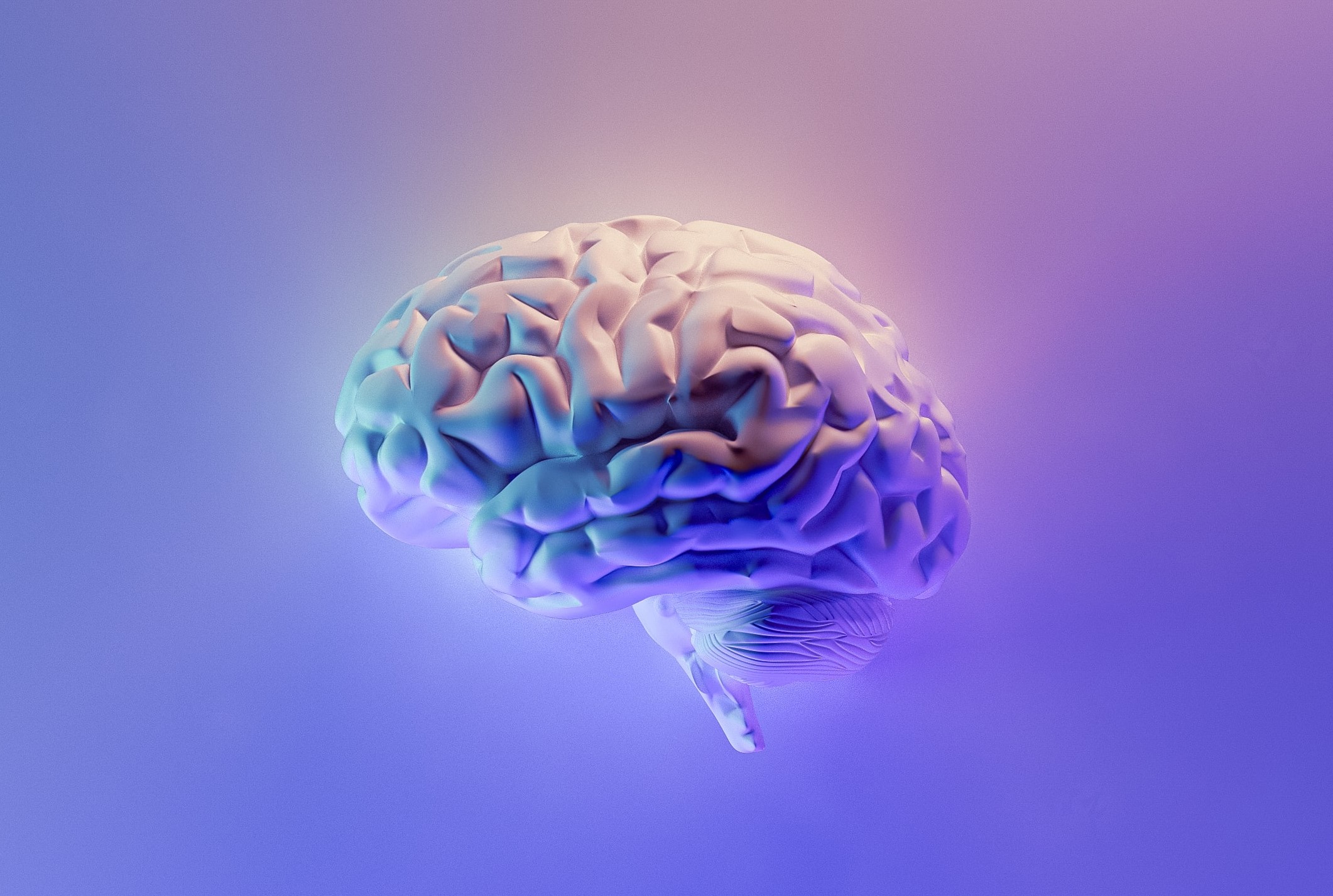 A 3D model of a brain lit up in purples and soft gold