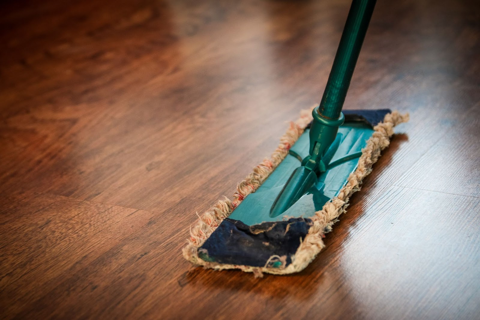 House Cleaning Tips for PWDs
