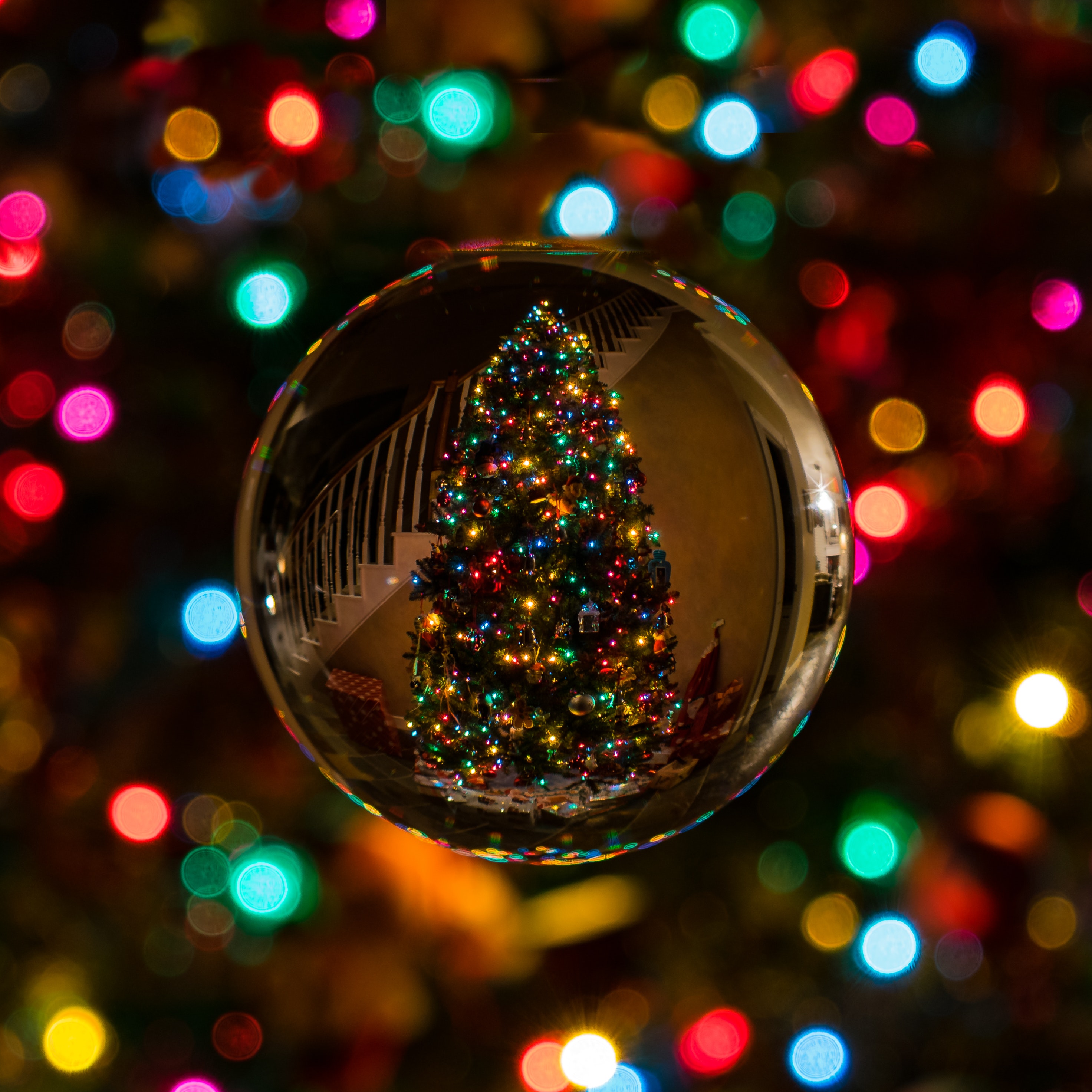 A Christmas Tree Reflection